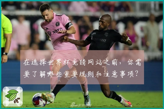 在选择世界杯竞猜网站之前，你需要了解哪些重要规则和注意事项？
