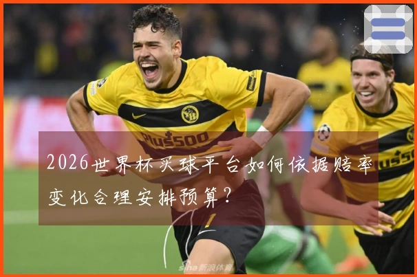 2026世界杯买球平台如何依据赔率变化合理安排预算？
